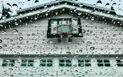 Rain-Ready Tacoma: Protect Your Home with Wayne Dalton’s Weather-Resistant Garage Doors This Fall