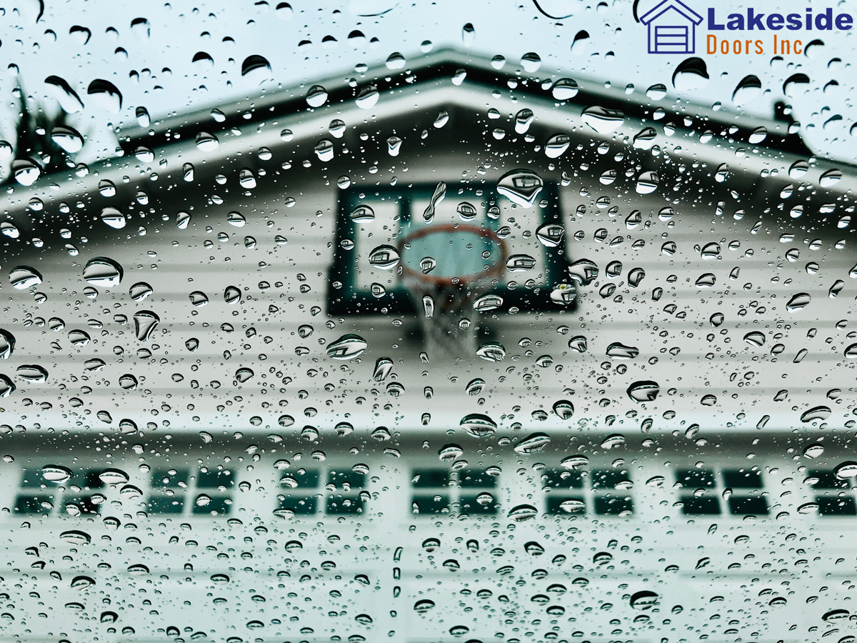 Tacoma Rain